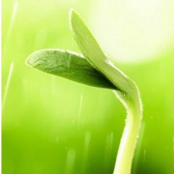 title-1453396343-e1670078110207